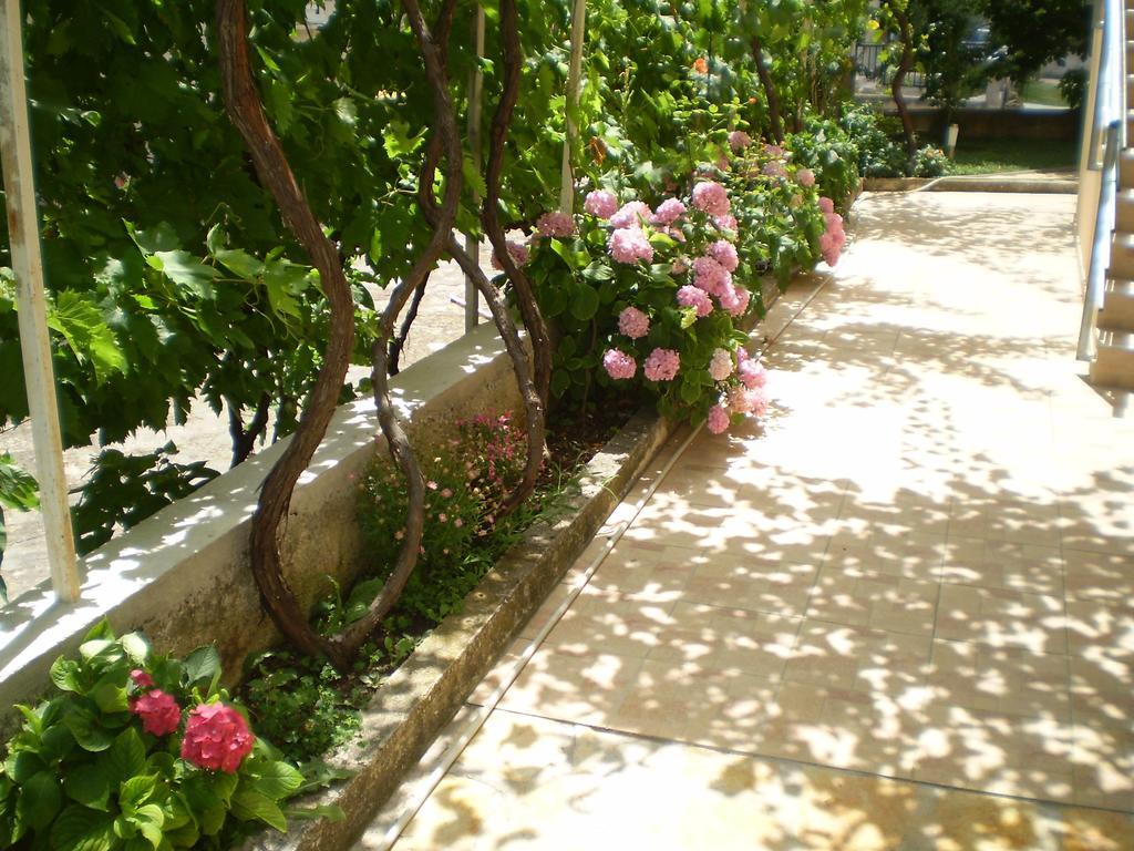 Apartments Tare, Free Parking Vodice Kamer foto