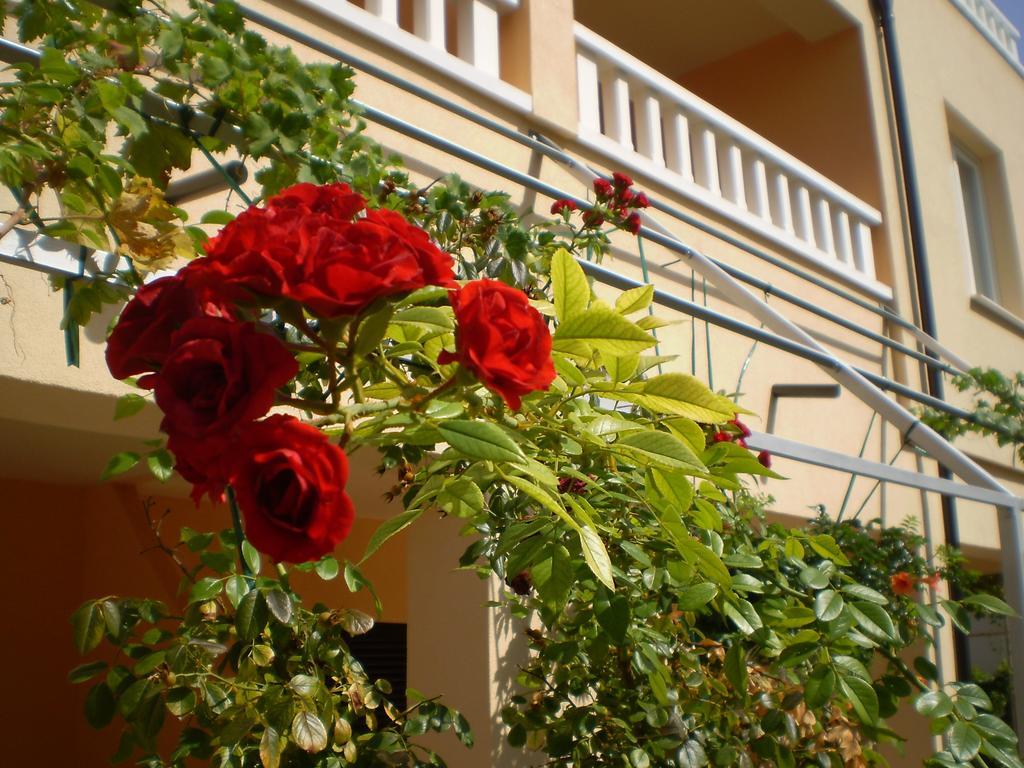 Apartments Tare, Free Parking Vodice Kamer foto